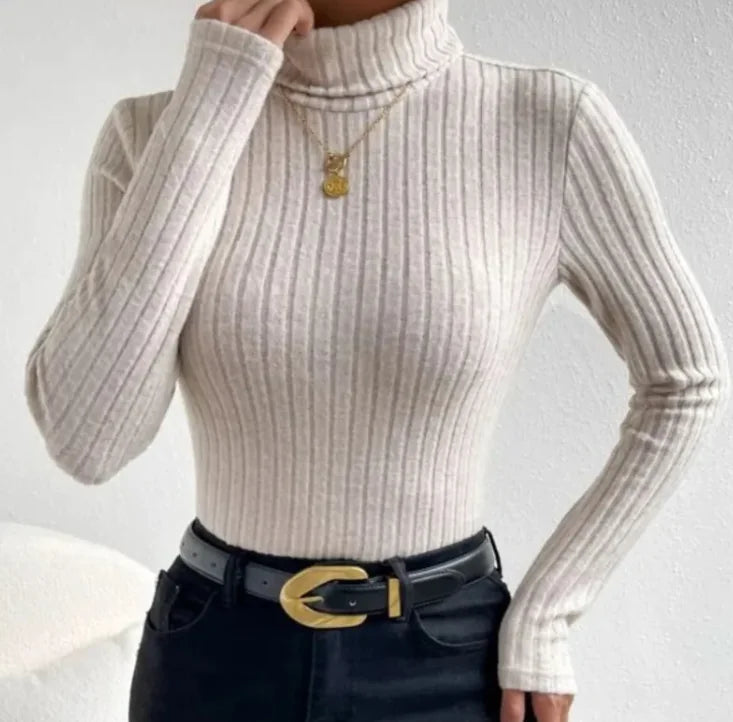 Bailey | Turtleneck Knit Top